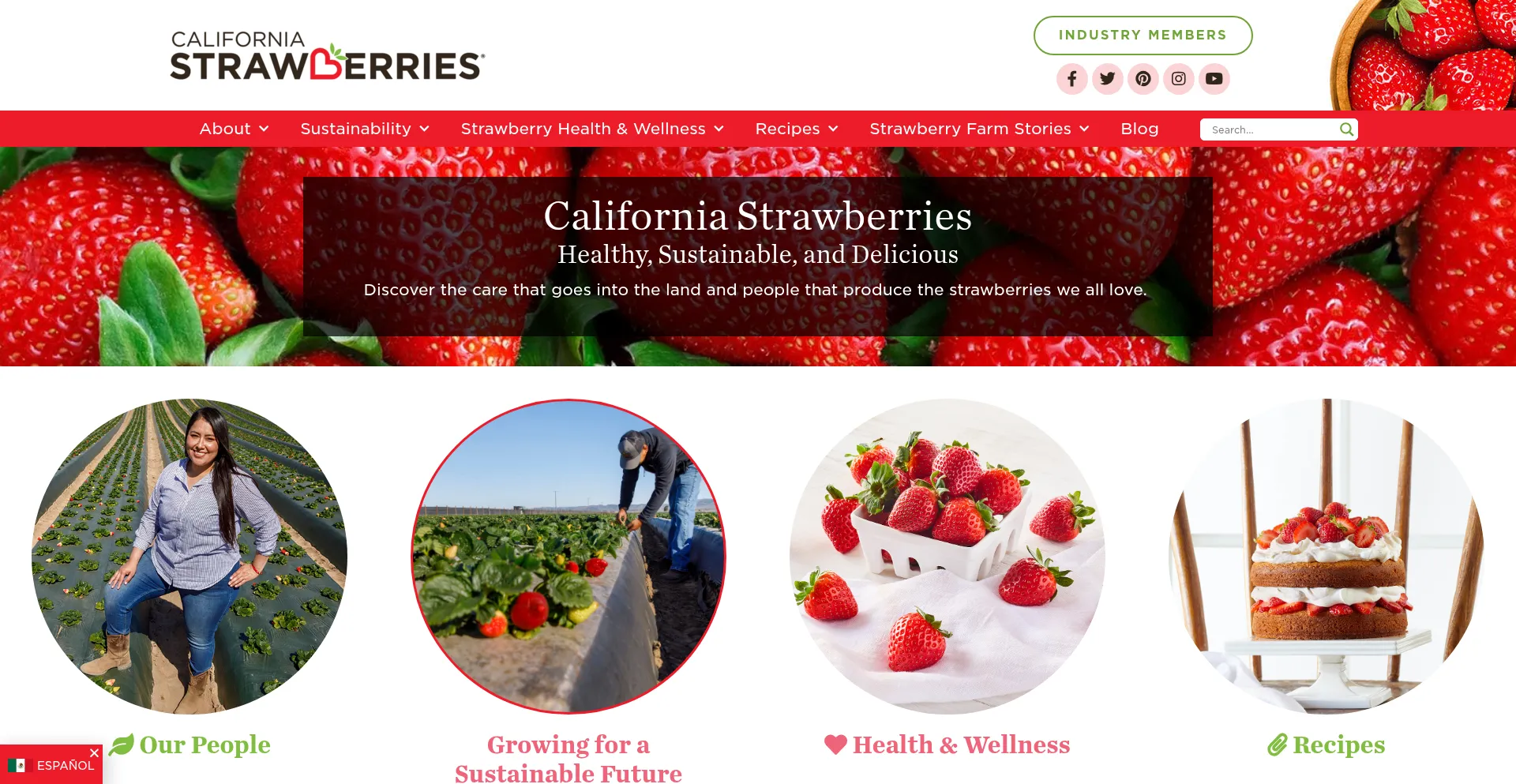 Website screenshot of Californiastrawberries.com