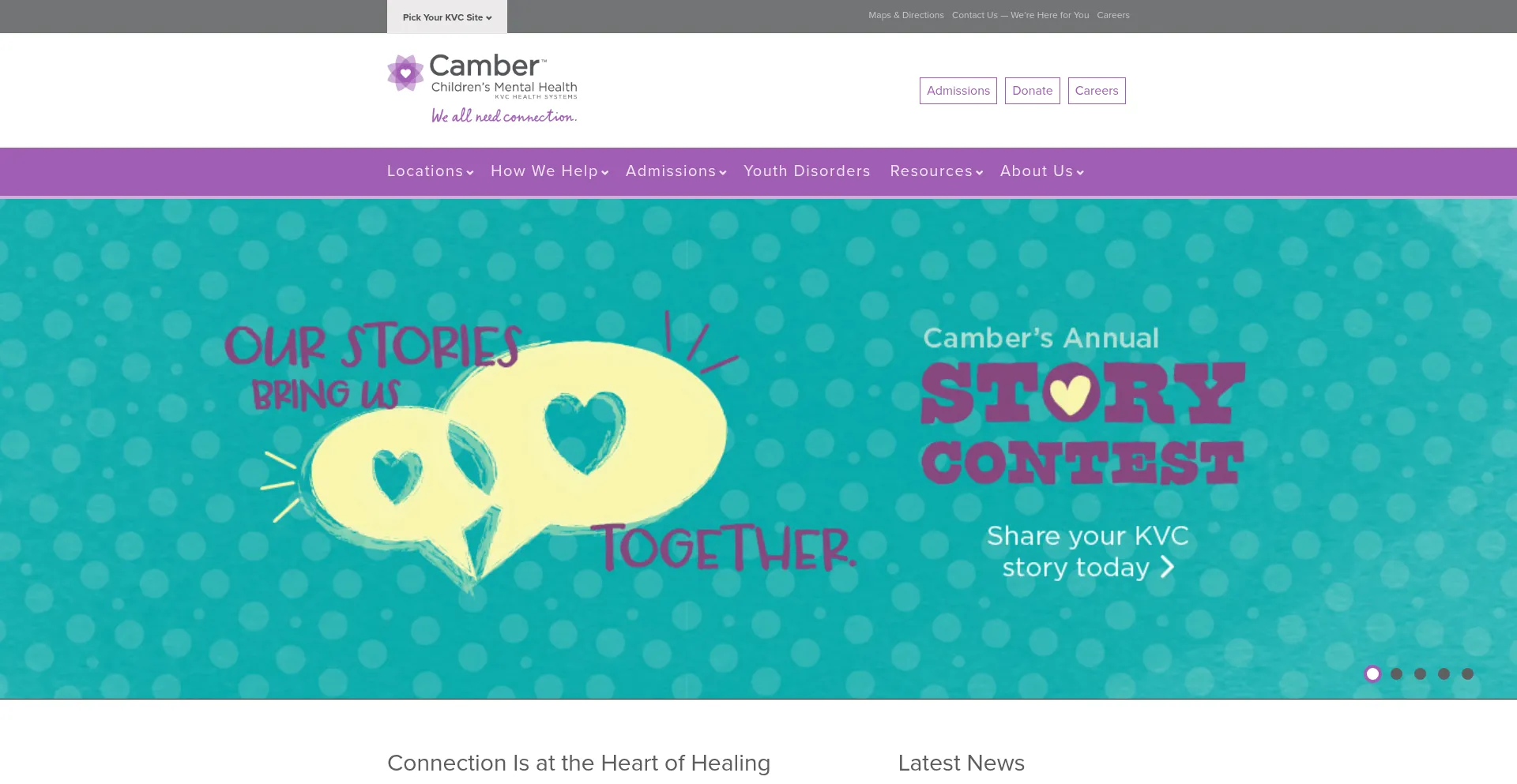 Website screenshot of Cambermentalhealth.org
