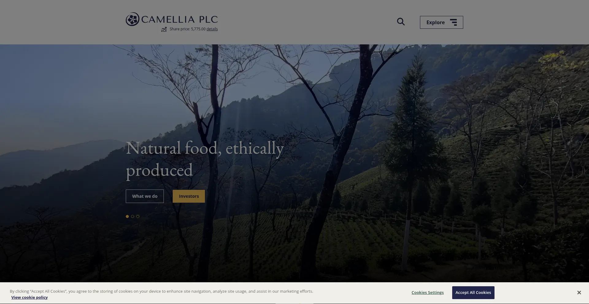 Website screenshot of Camellia.plc.uk