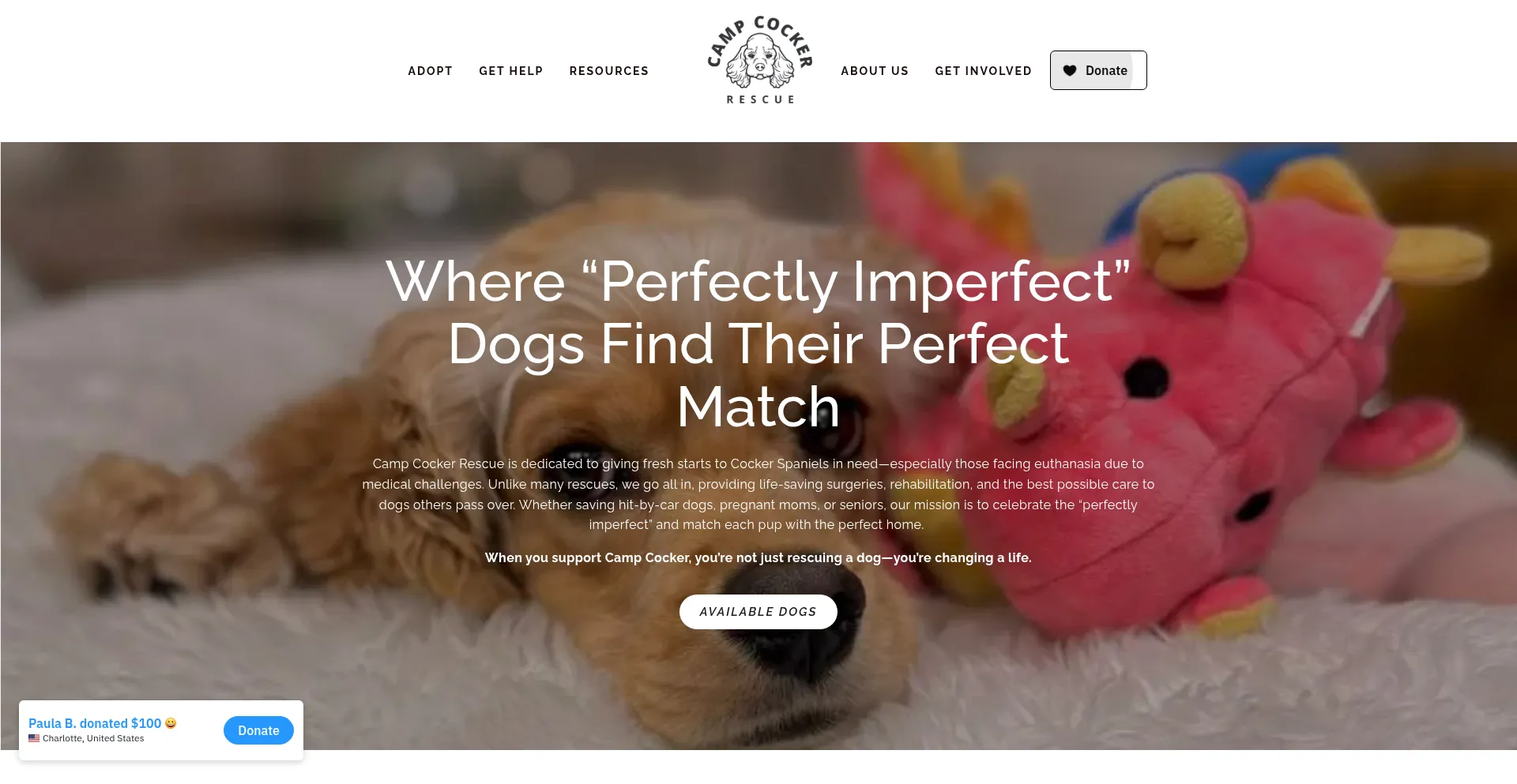 Website screenshot of Campcocker.com
