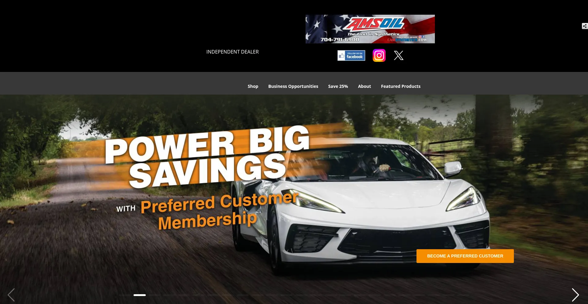 Website screenshot of Camsynthetics.com