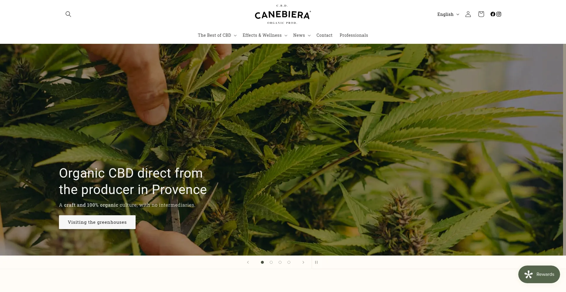 Canebiera.com