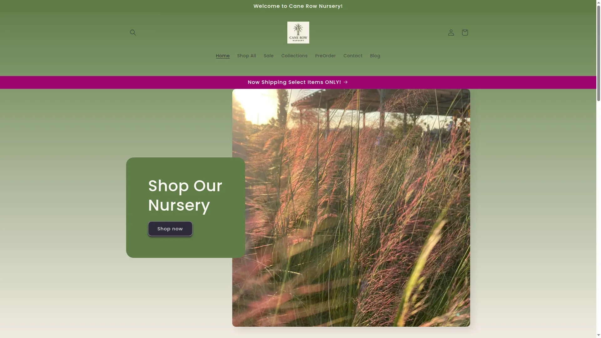 Canerownursery.org