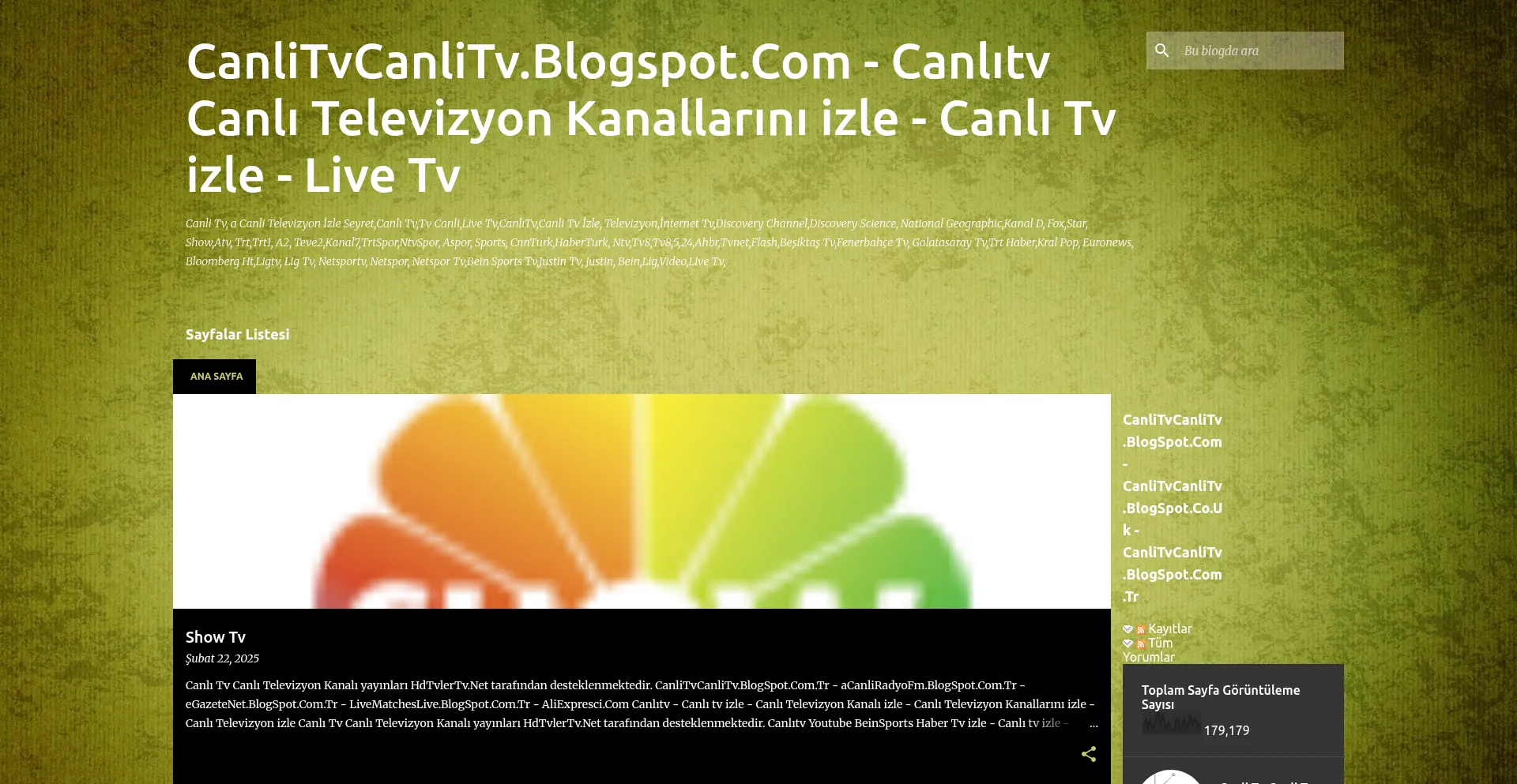 Website screenshot of Canlitvcanlitv.blogspot.com.tr