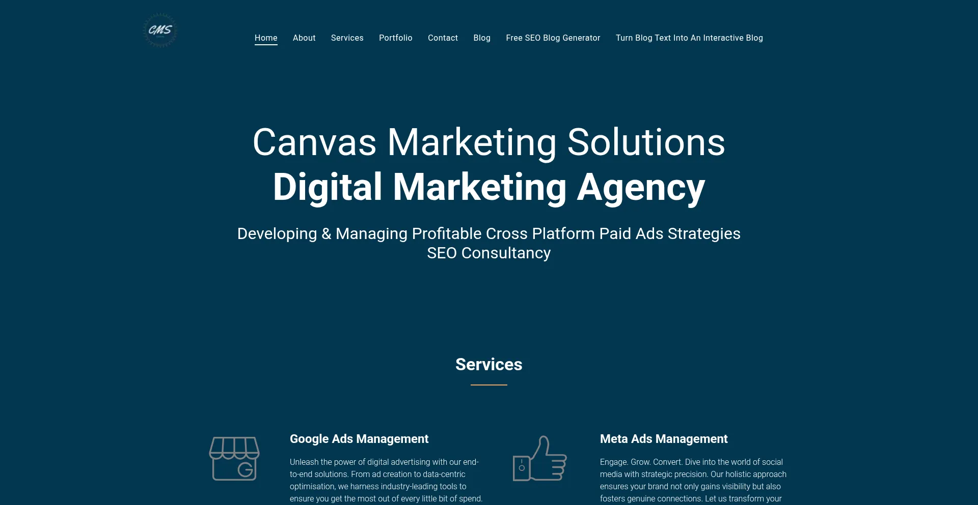 Website screenshot of Canvasmarketingsolutions.com