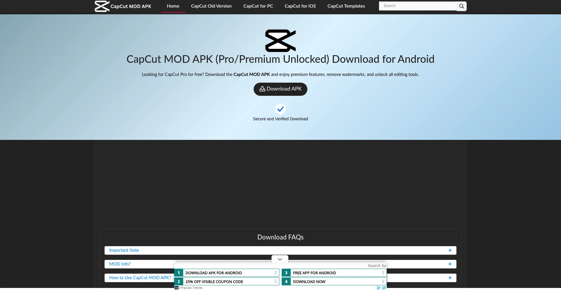 Website screenshot of Capcut.tube