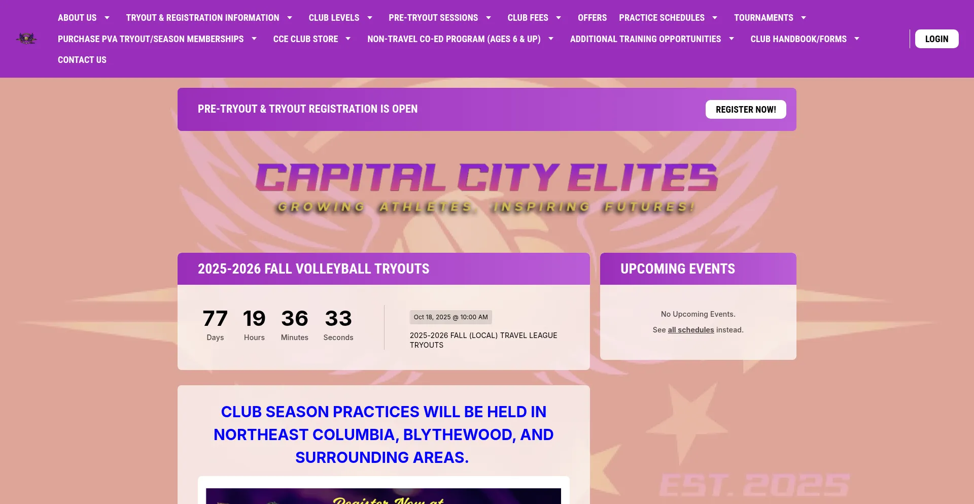 Website screenshot of Capitalcityelites.com