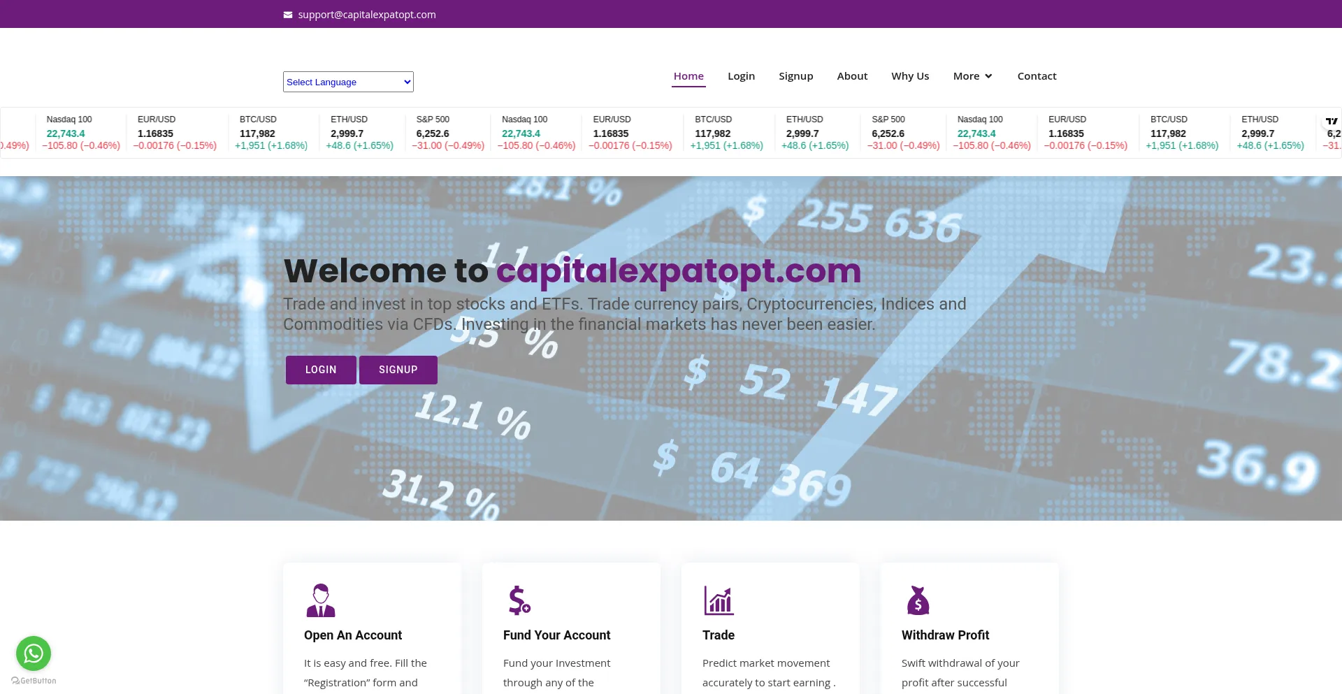 Website screenshot of Capitalexpatopt.com
