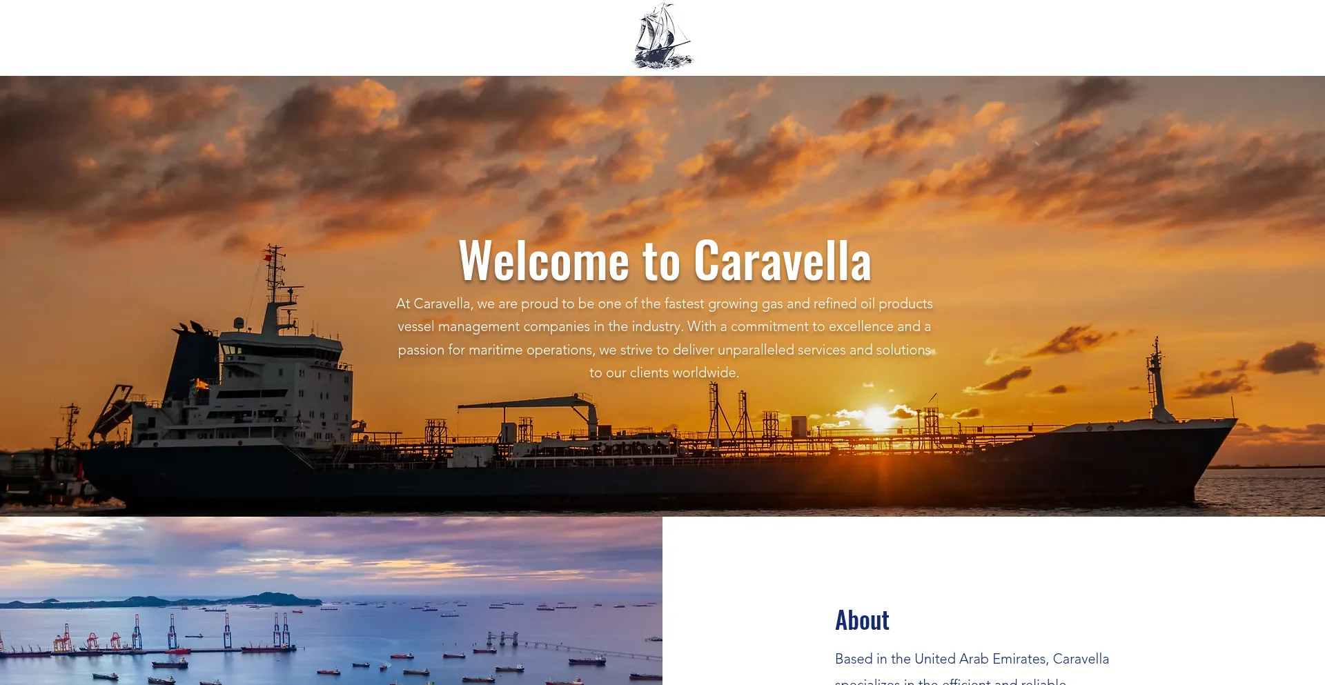 Website screenshot of Caravellafz.com