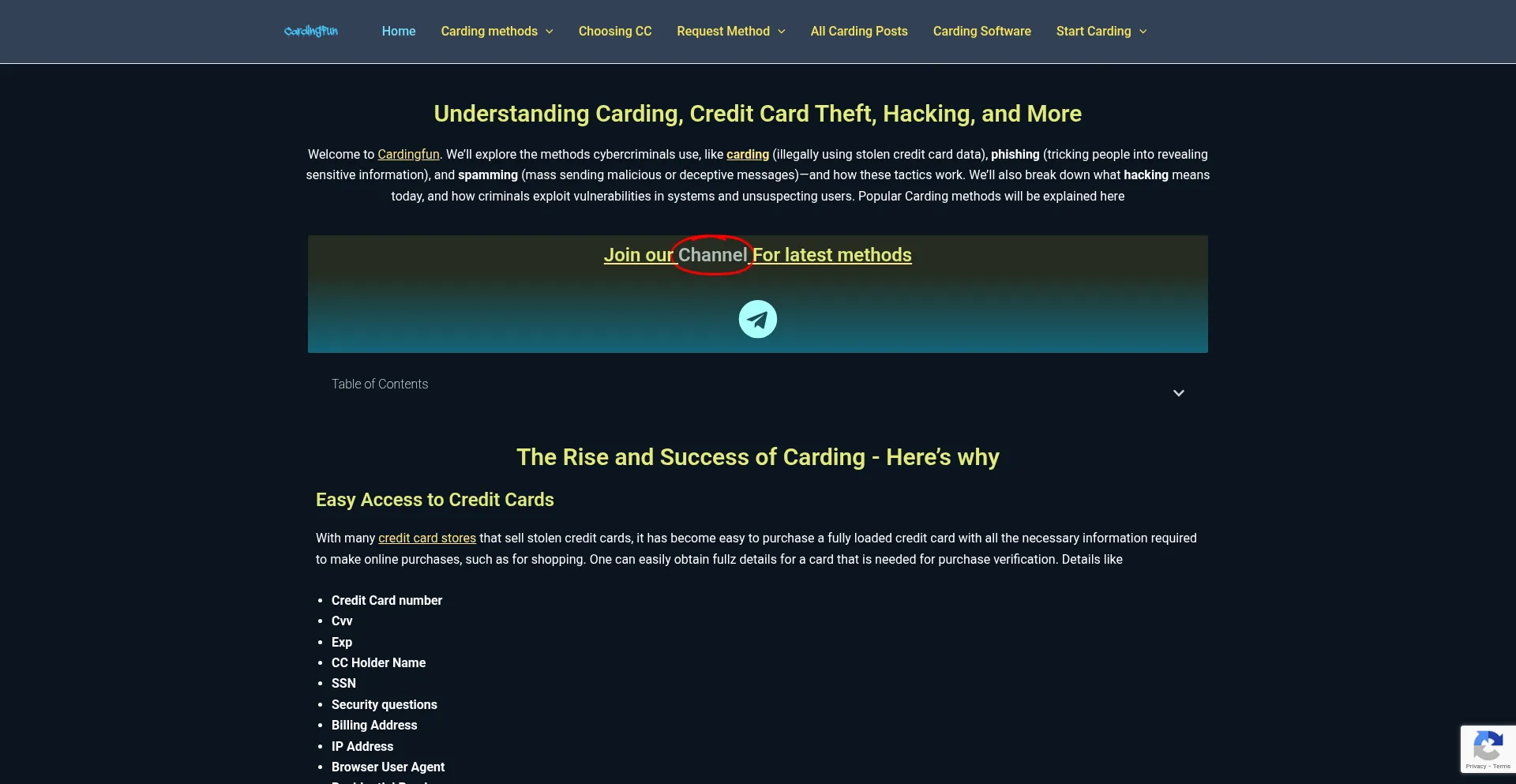 Website screenshot of Cardingfun.info