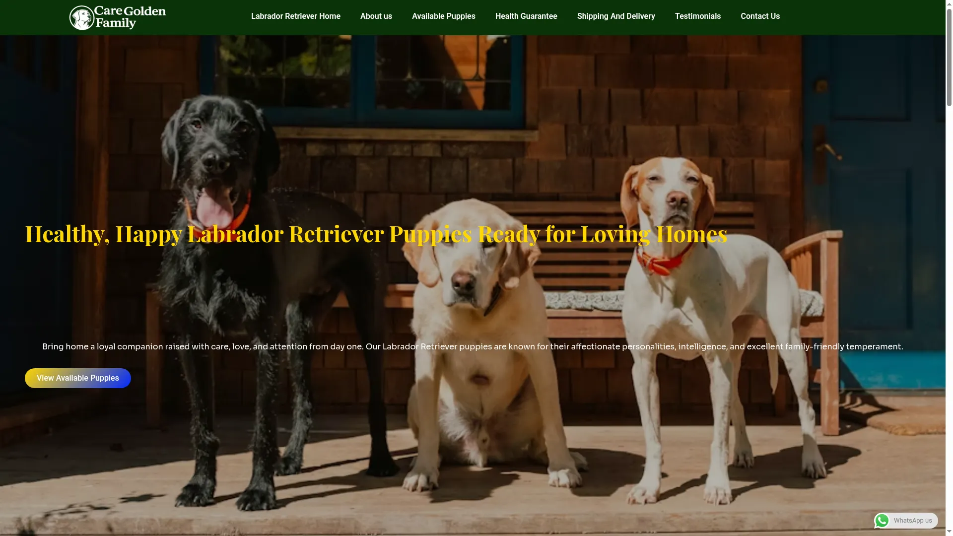 Caregoldenfamily.com