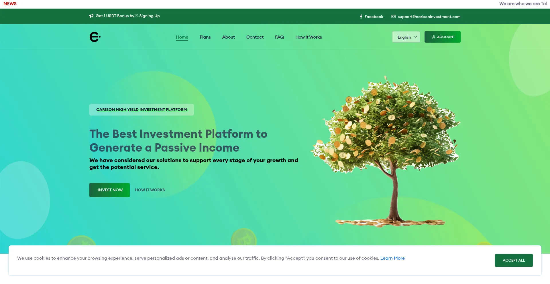 Website screenshot of Carisoninvestment.com