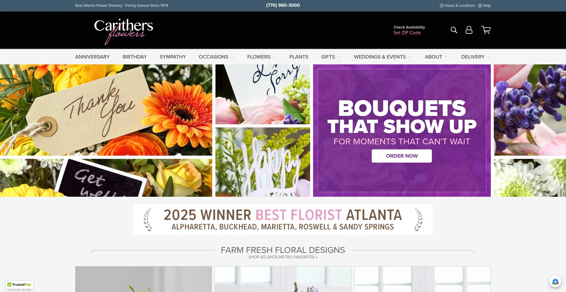 Website screenshot of Carithers.com