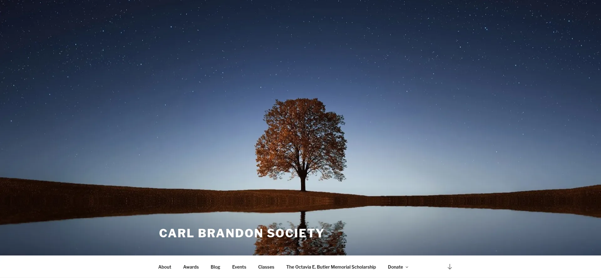 Carlbrandon.org