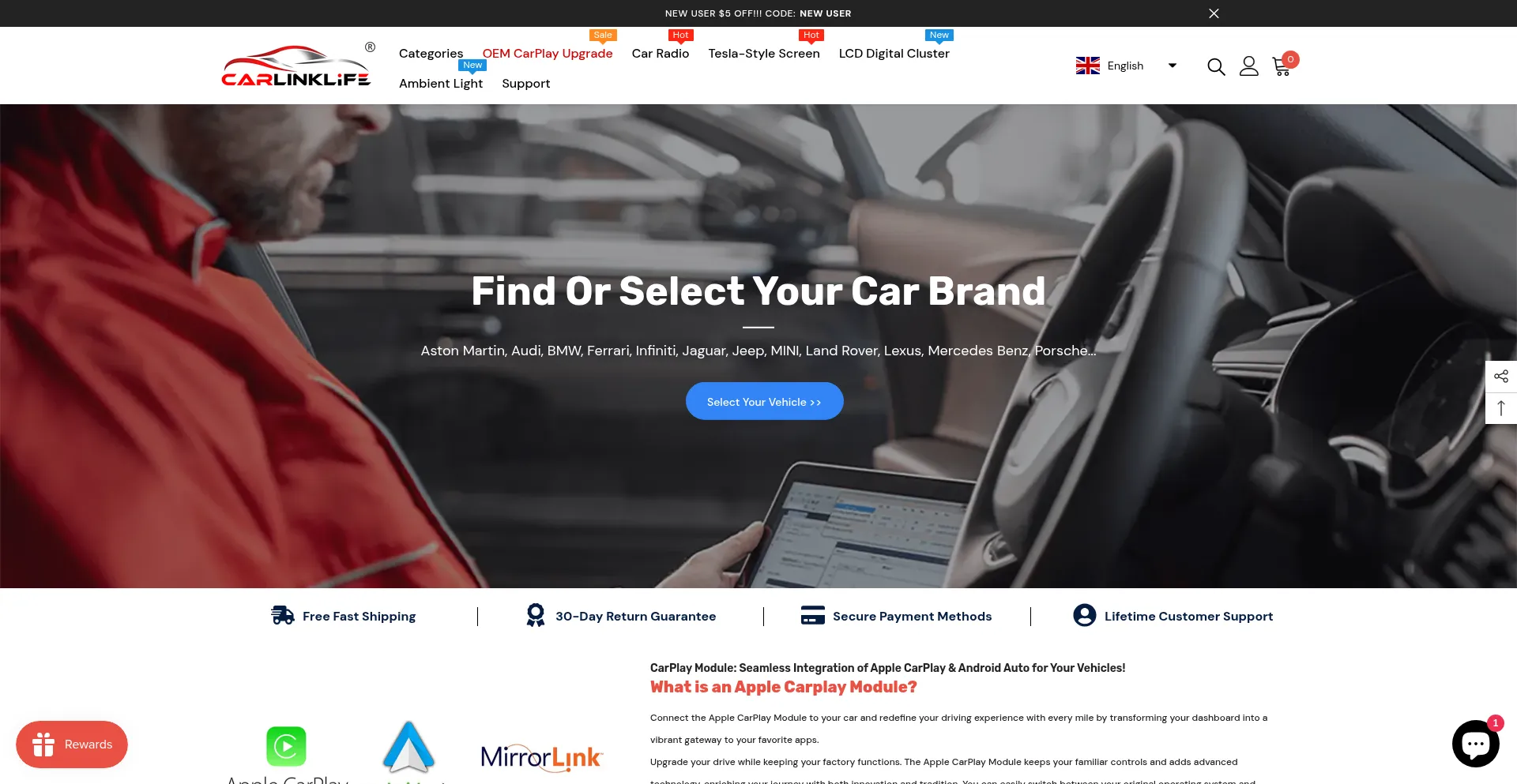 Website screenshot of Carlinklife.com