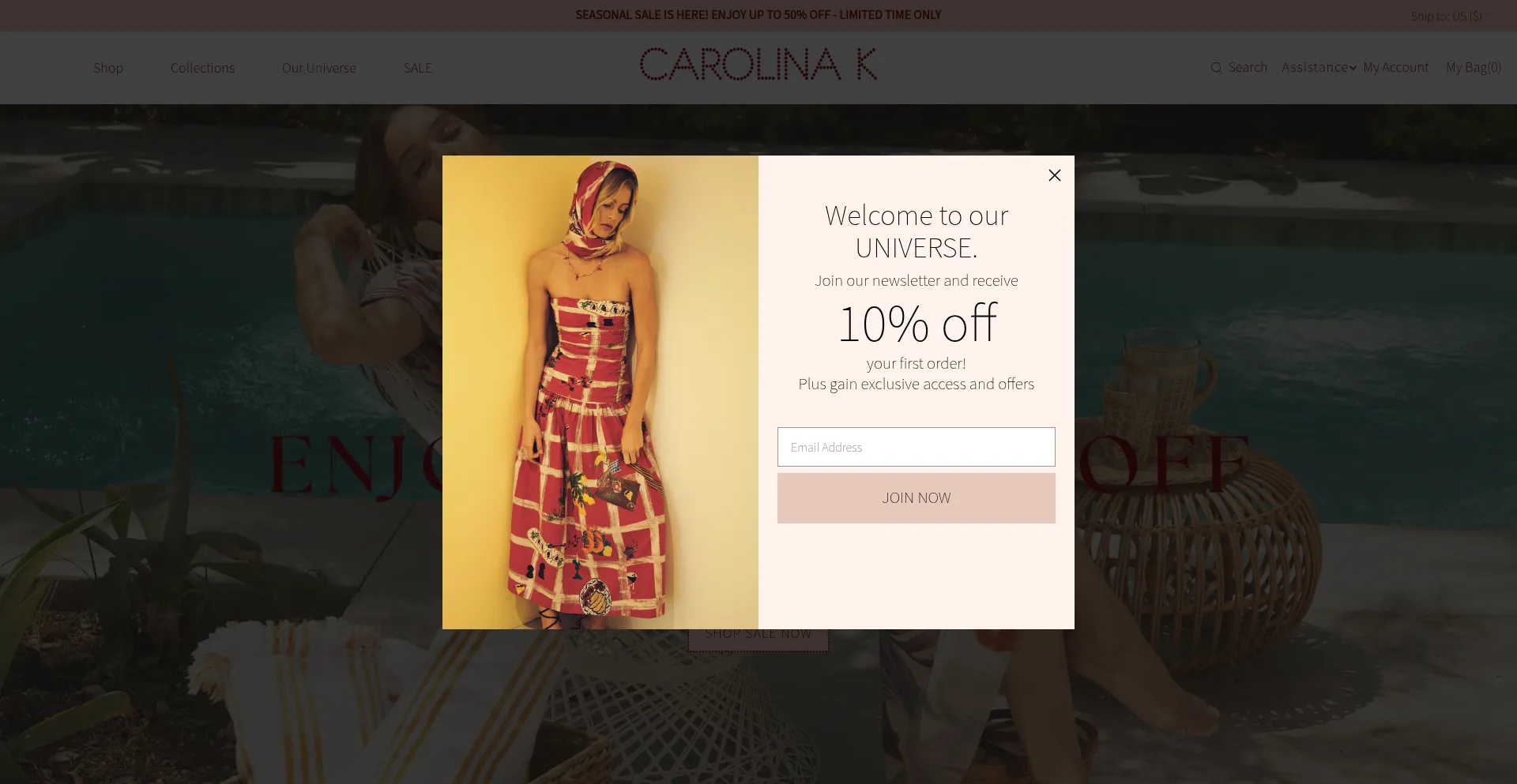 Website screenshot of Carolinak.com