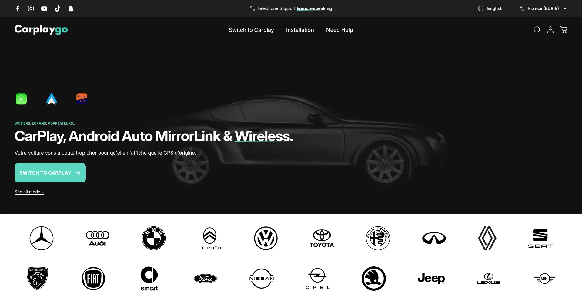 Website screenshot of Carplaygo.com