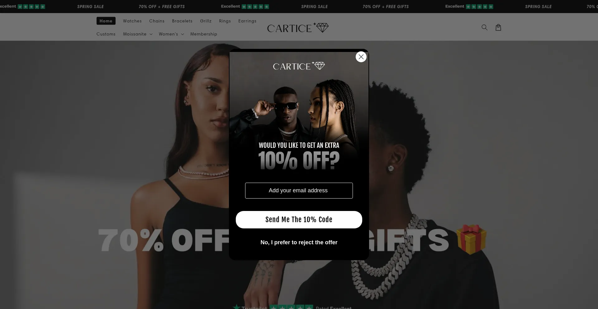 Website screenshot of Carticenyc.com