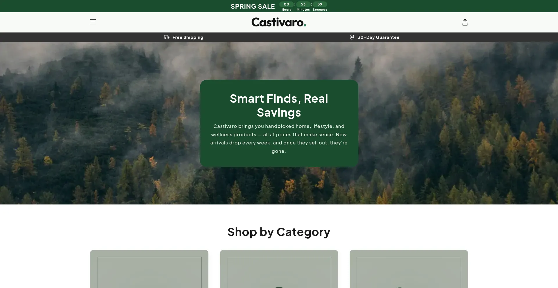 Castivaro.com
