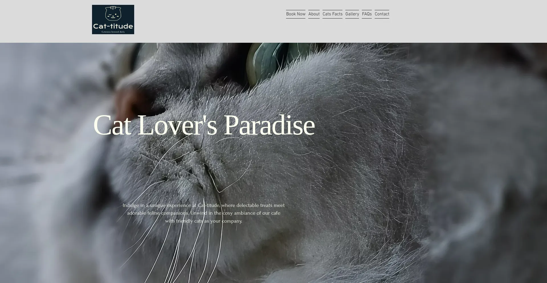 Cat-titude.co.uk 安全可靠吗？