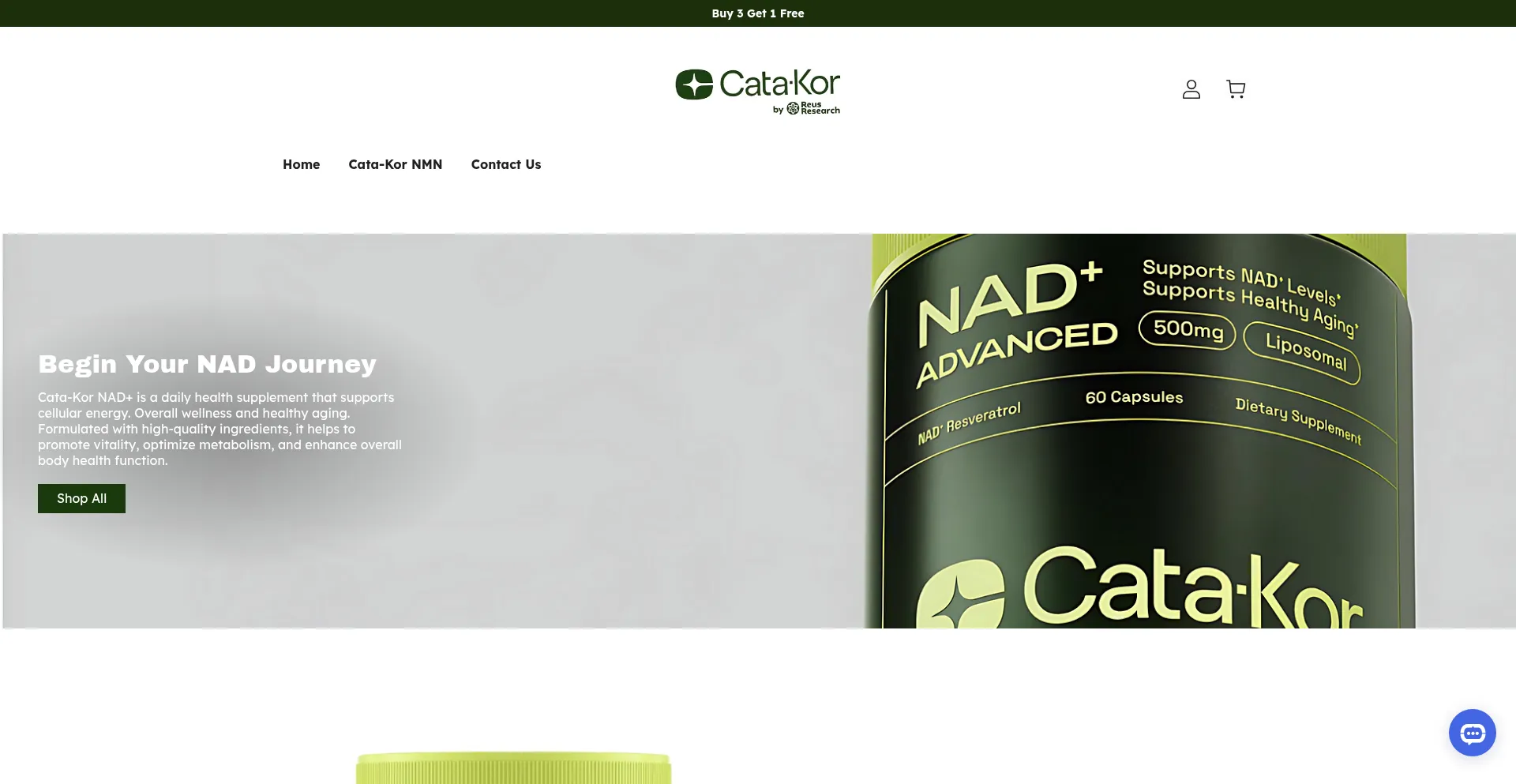 Website screenshot of Cata-kor.shop