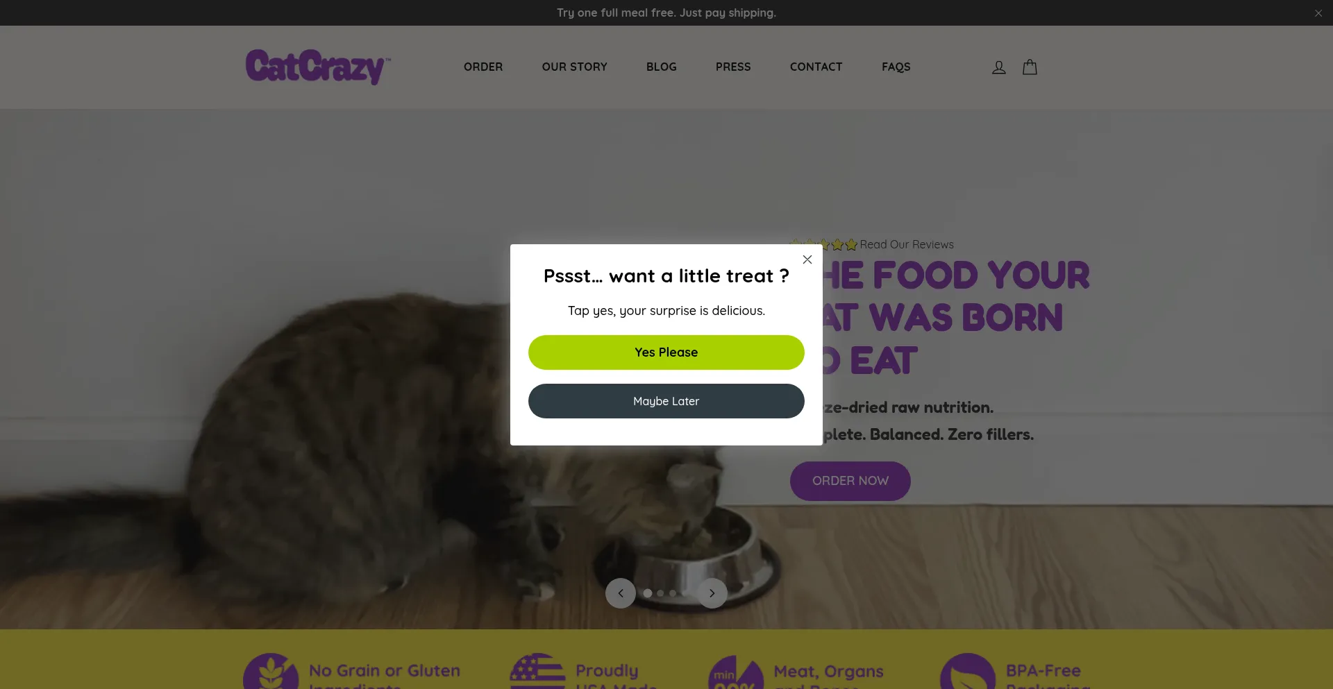 Catcrazystore.com