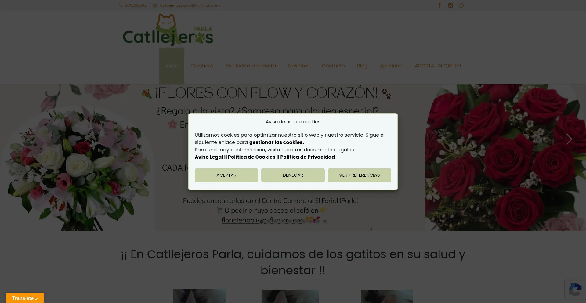Catllejerosparla.com