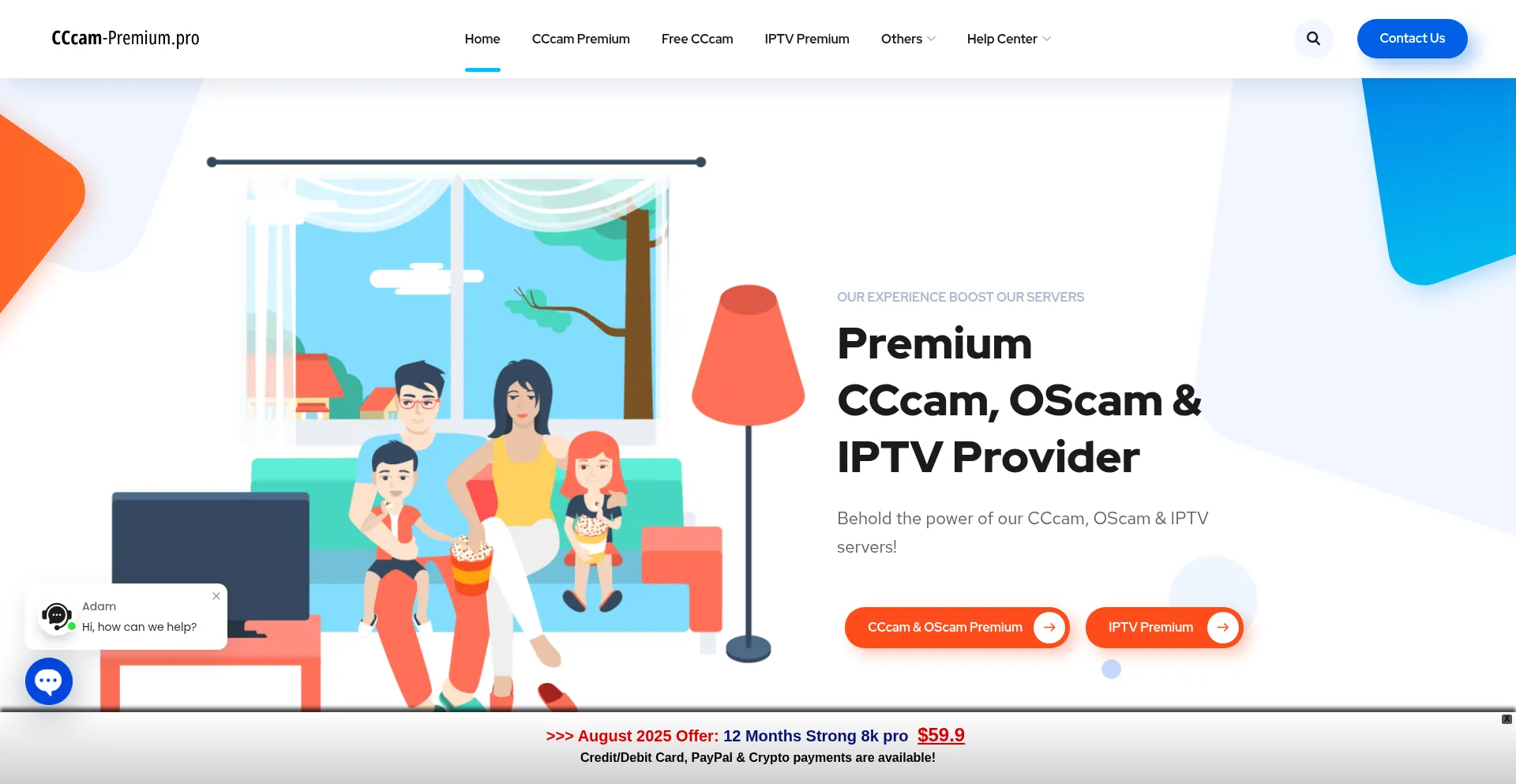 Website screenshot of Cccam-premium.pro
