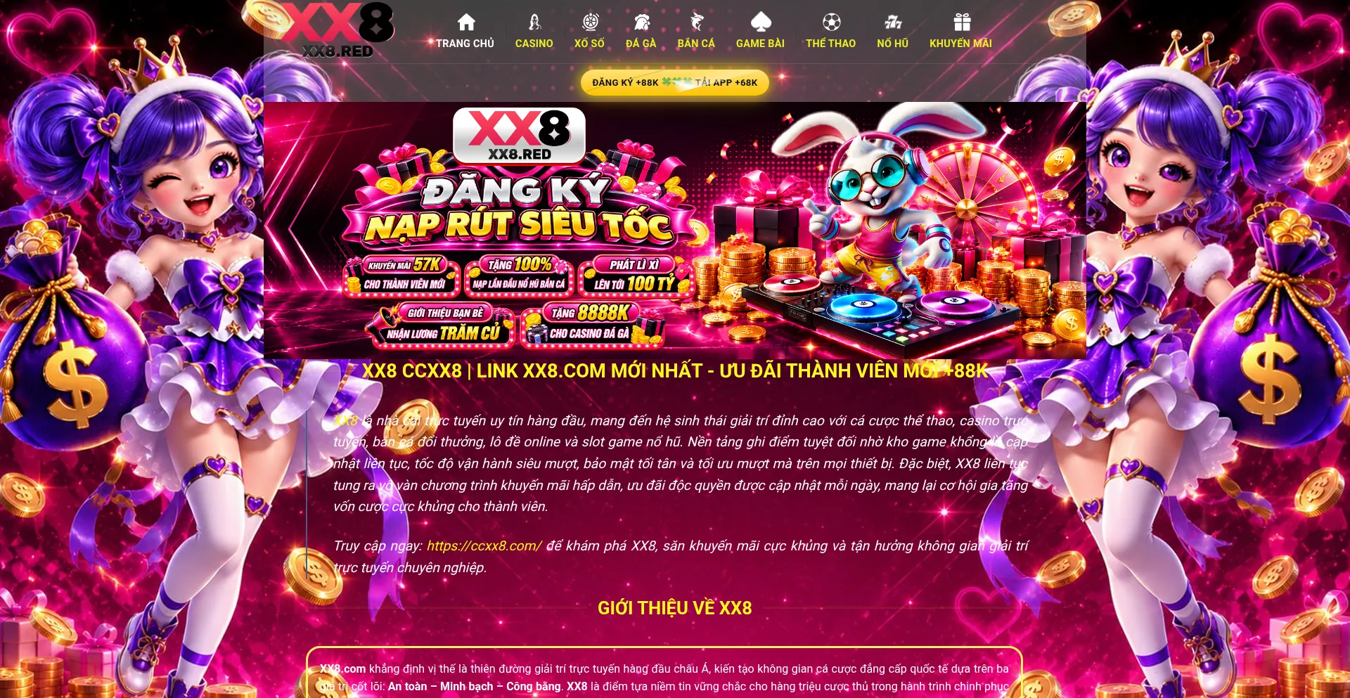 Ccxx8.com