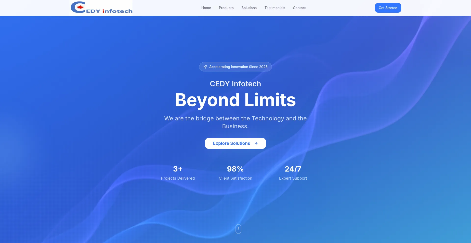 Cedyinfotech.com Screenshot