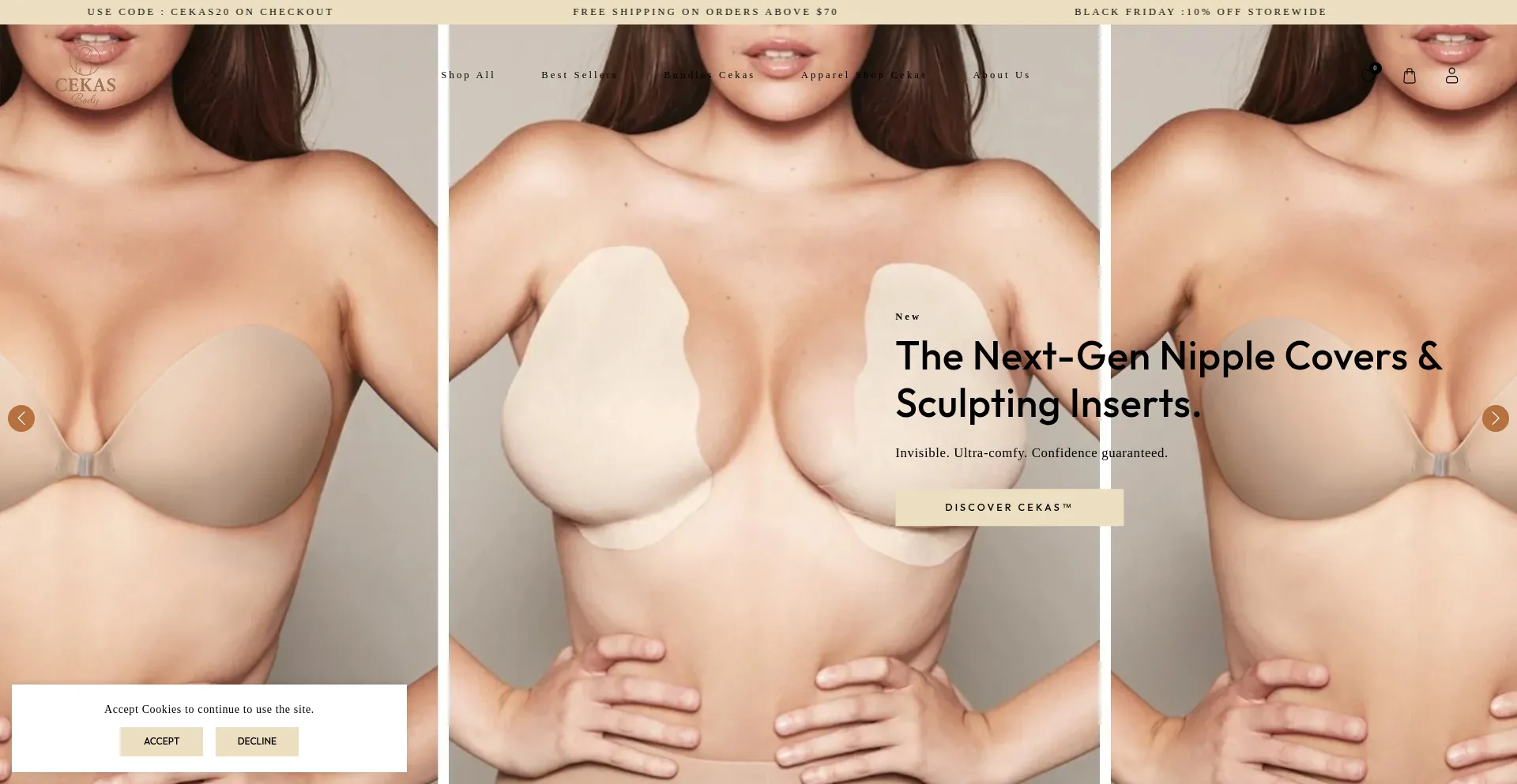 Website screenshot of Cekas-body.com