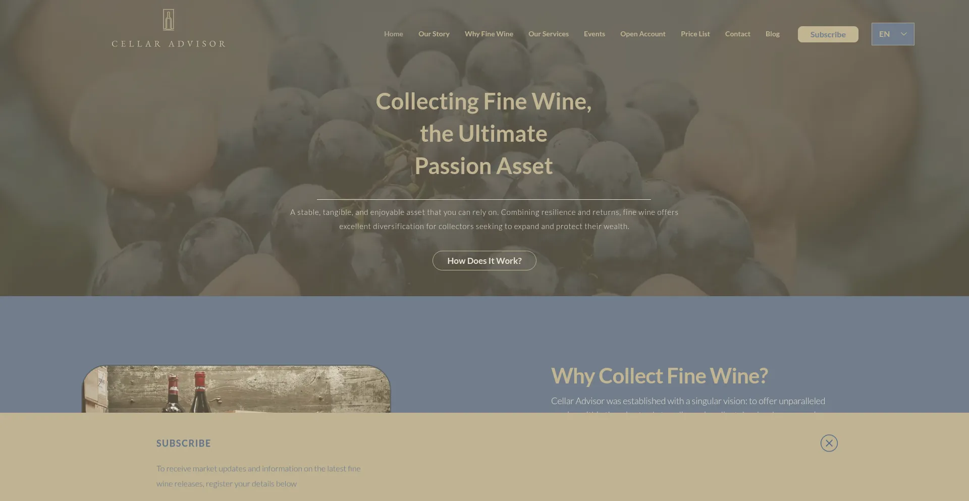 Website screenshot of Cellar-advisor.com