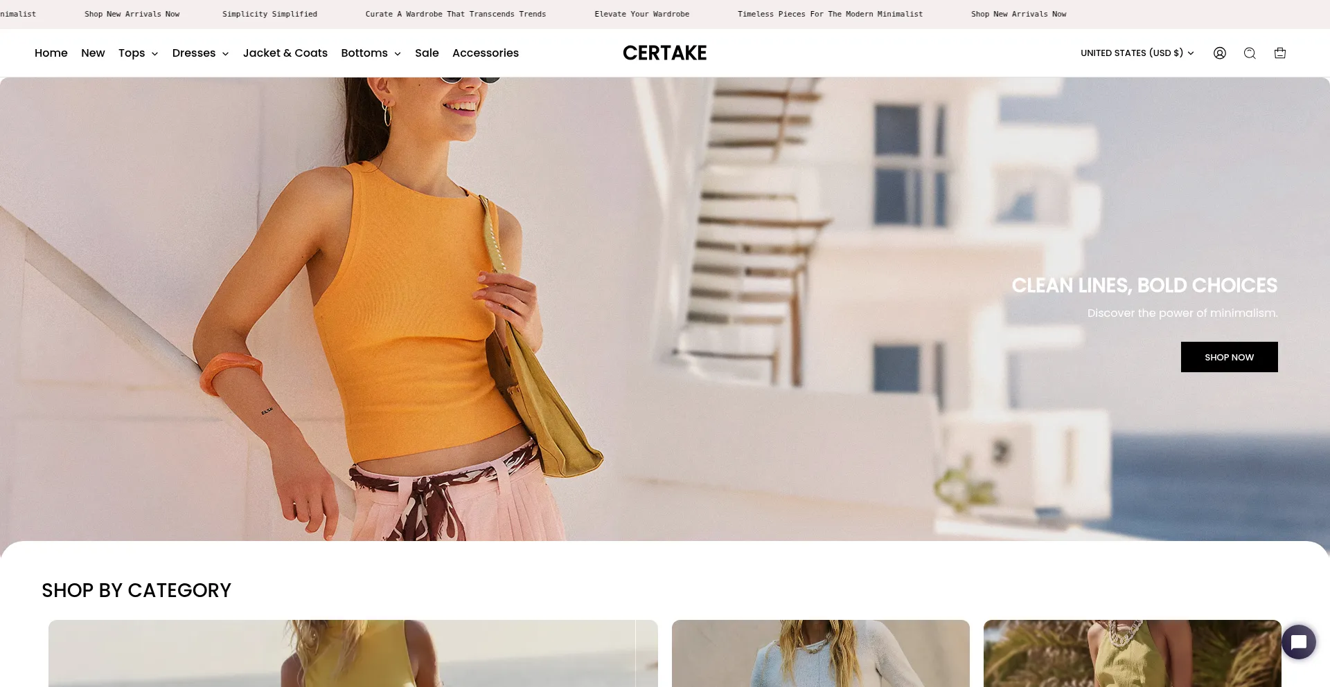 Website screenshot of Certake.com