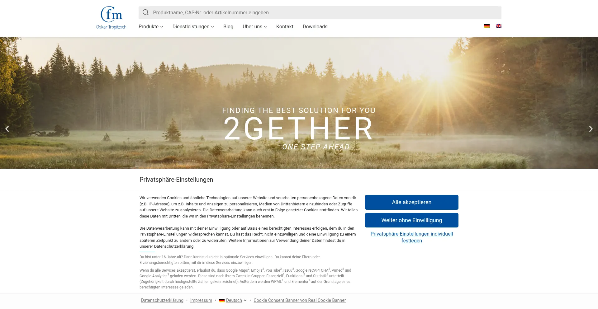 Website screenshot of Cfmot.de