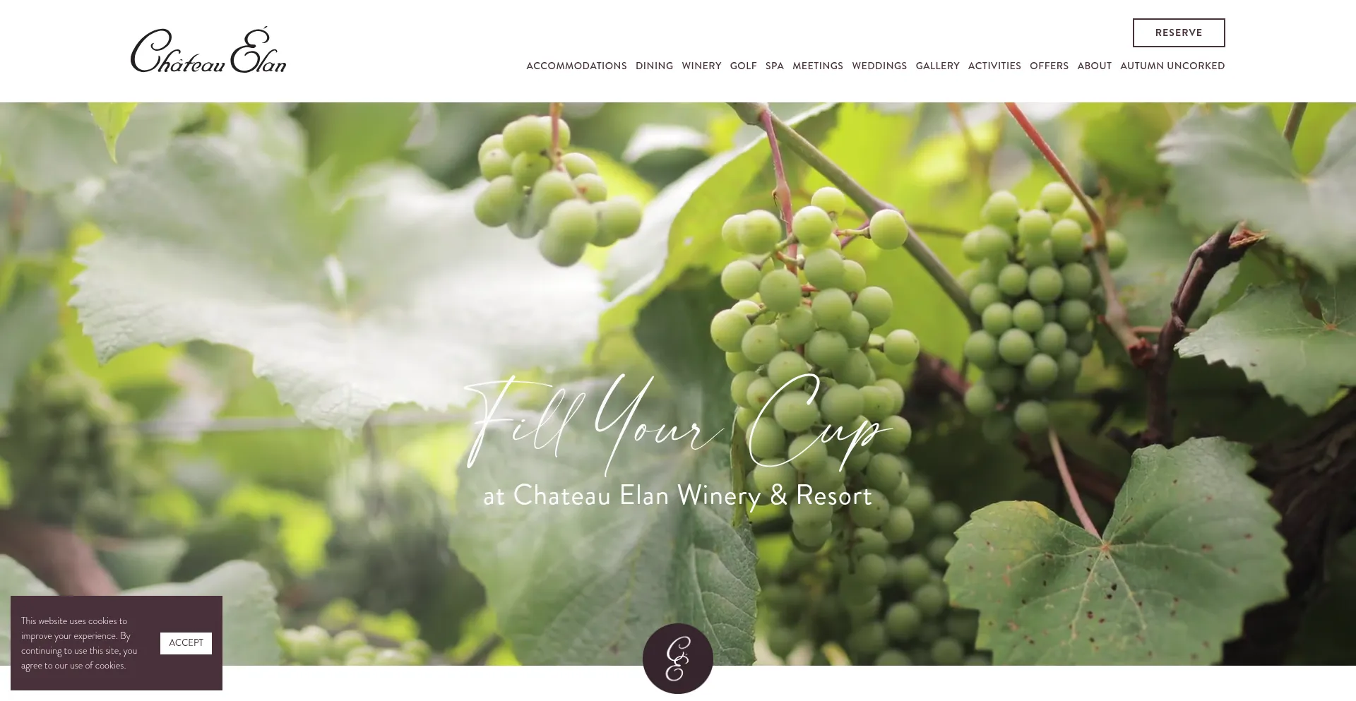 Website screenshot of Chateauelan.com