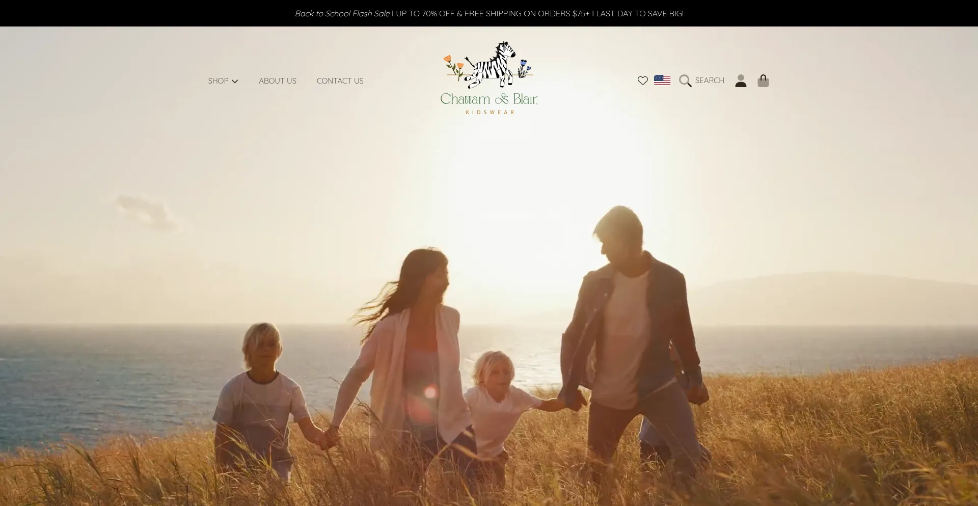 Website screenshot of Chattamandblair.com