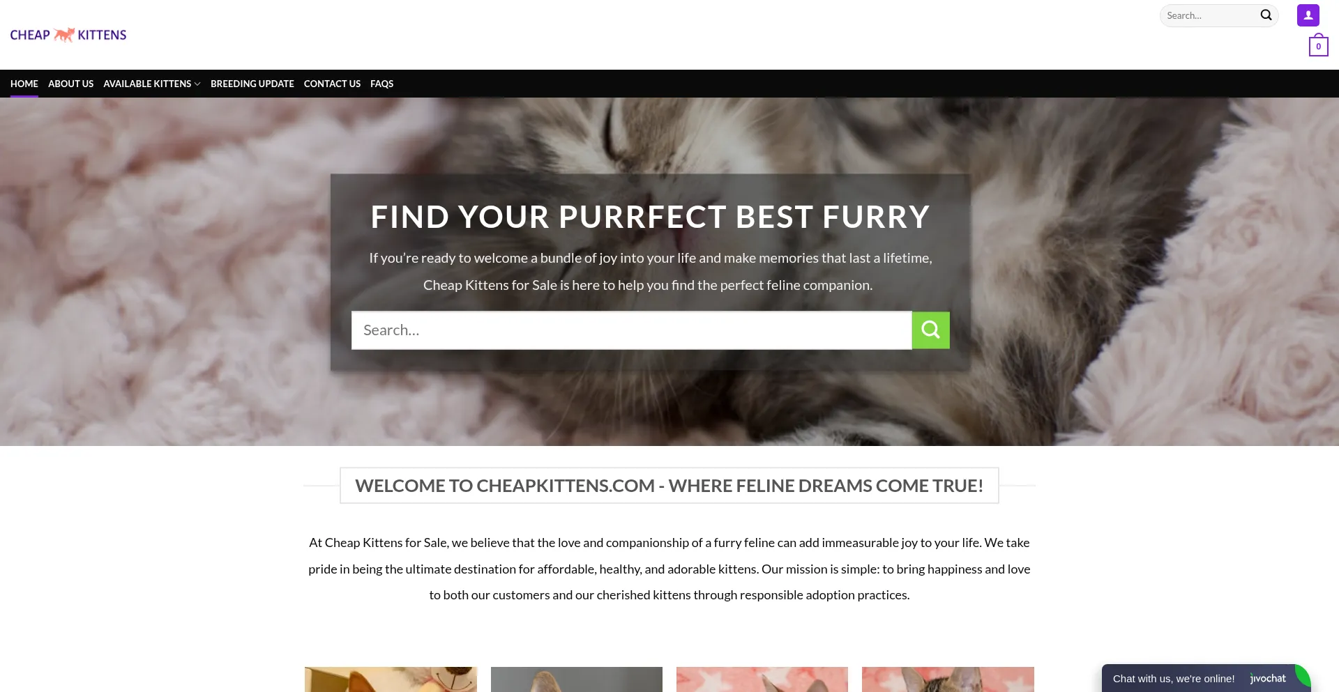Website screenshot of Cheapkittens.com