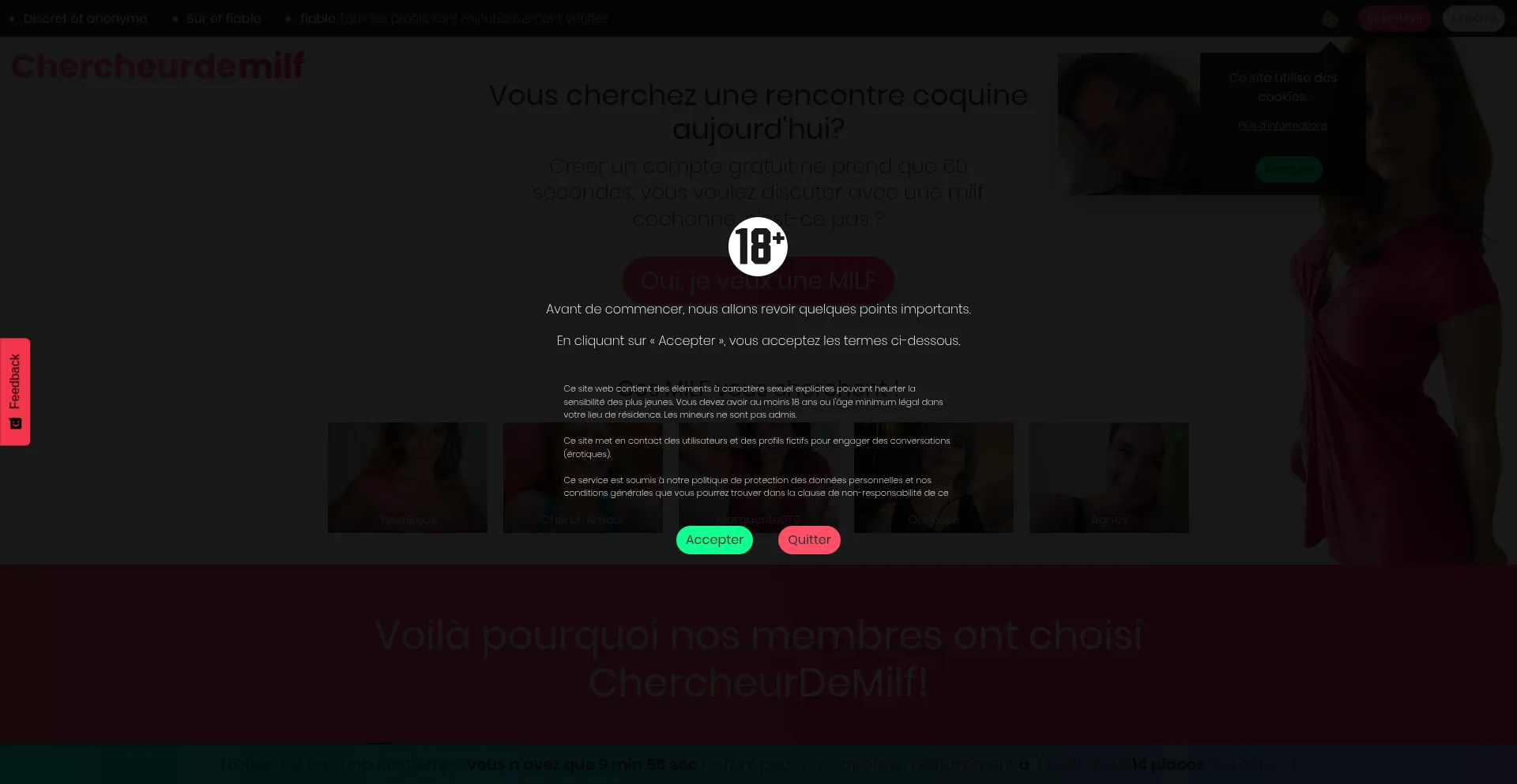 Website screenshot of Chercheurdemilf.com