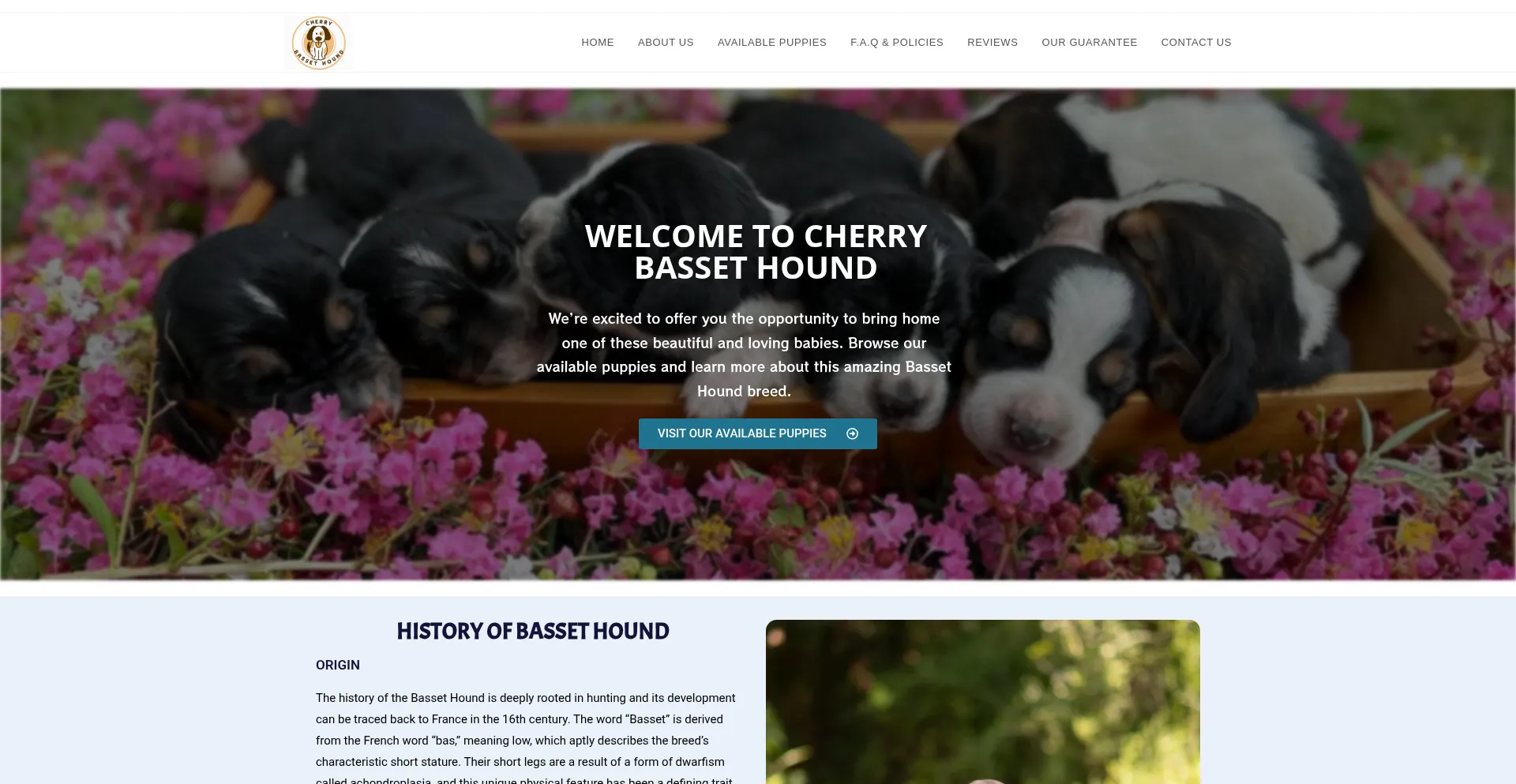 Cherrybassethound.com