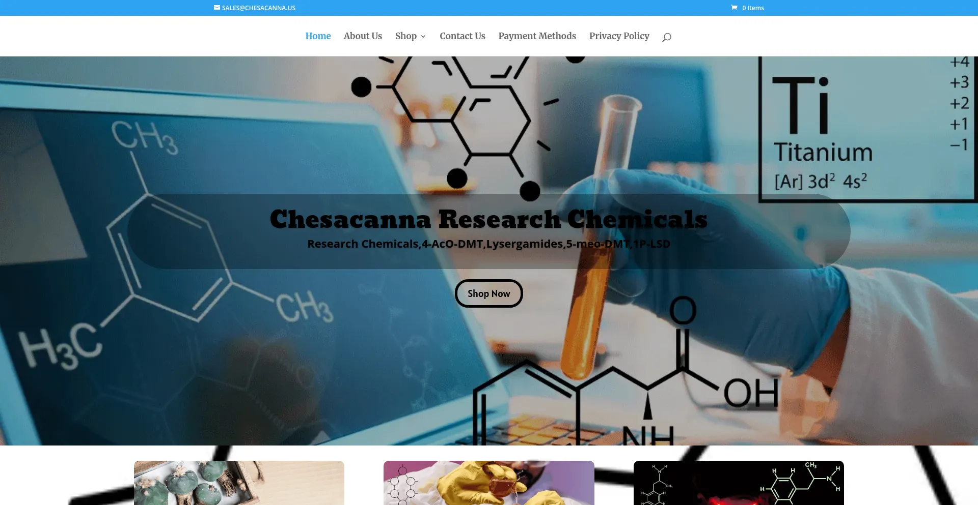 Website screenshot of Chesacanna.us