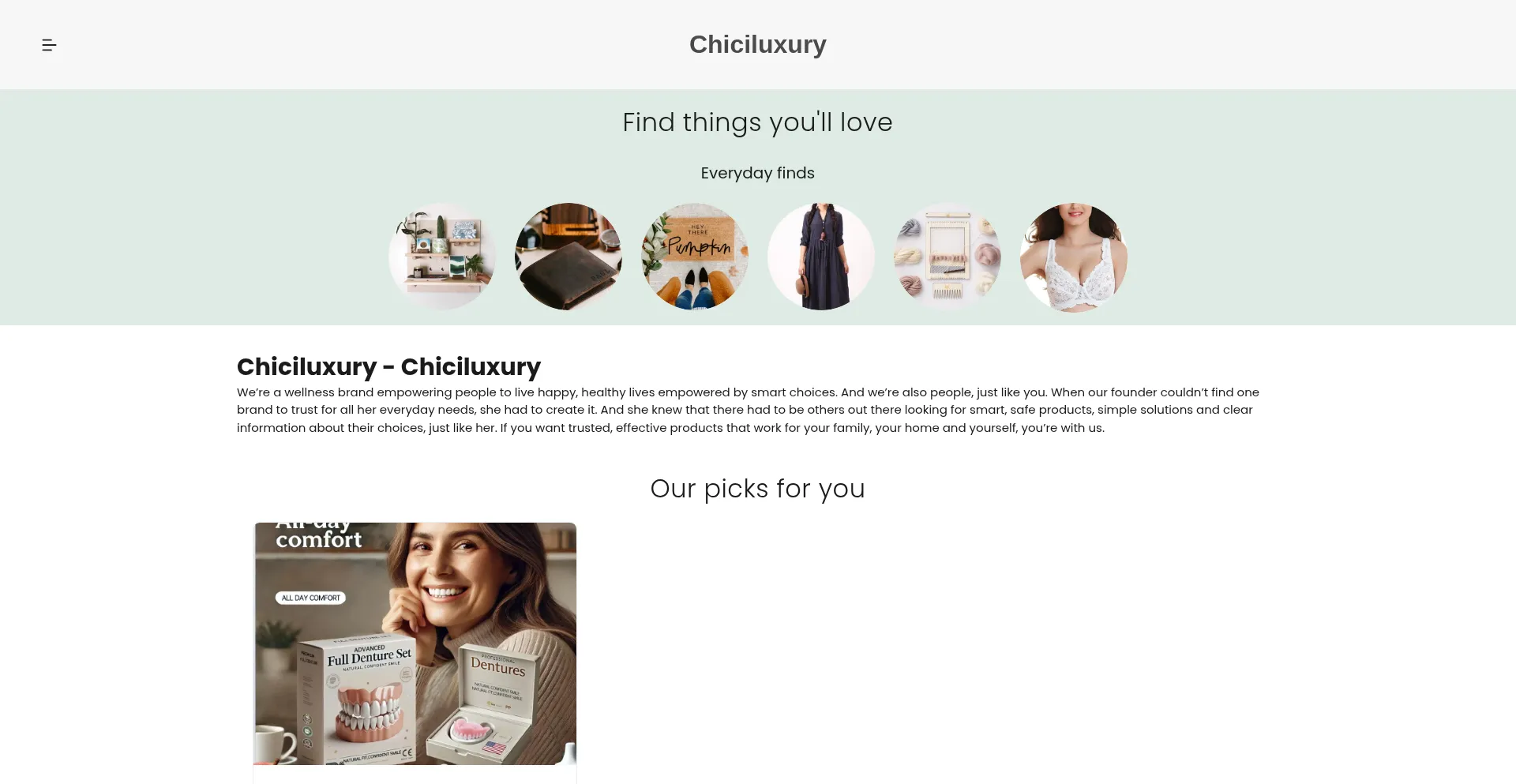 Website screenshot of Chiciluxury.com