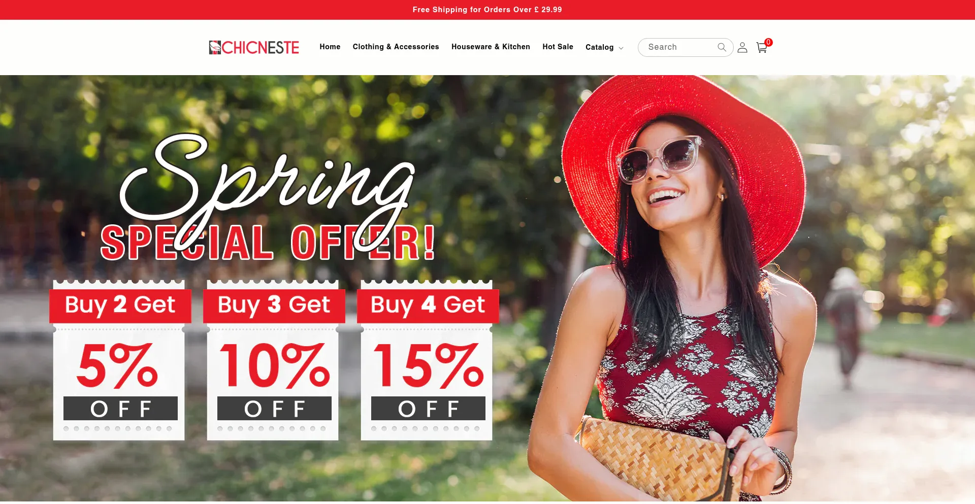 Website screenshot of Chicneste.com