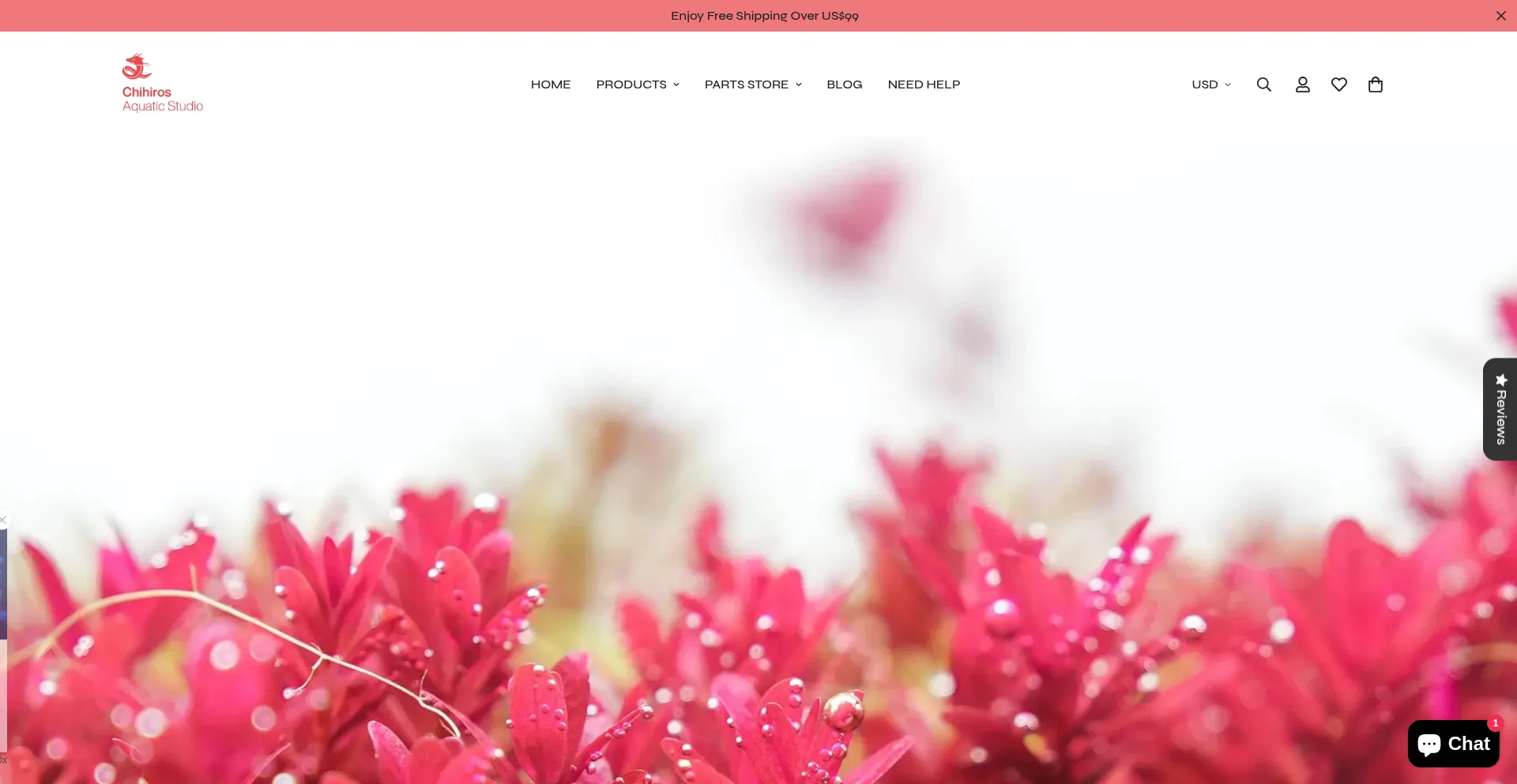 Chihirosaquaticstudio.com