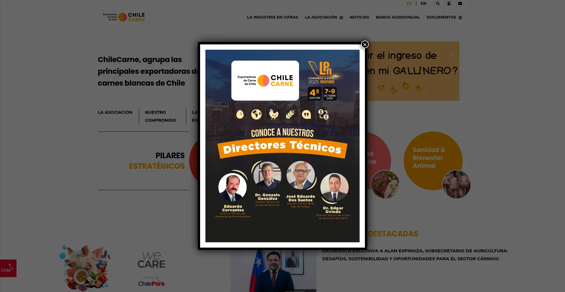 Website screenshot of Chilecarne.cl