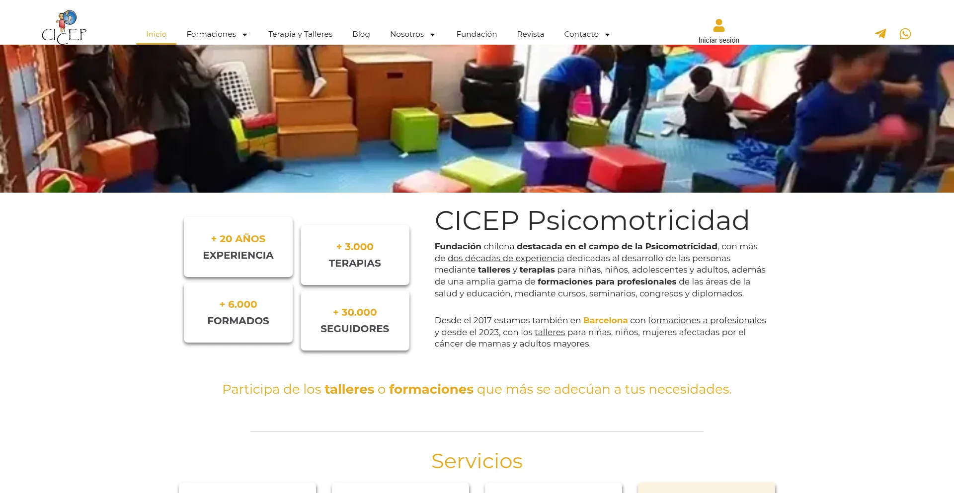 Website screenshot of Cicep.cl