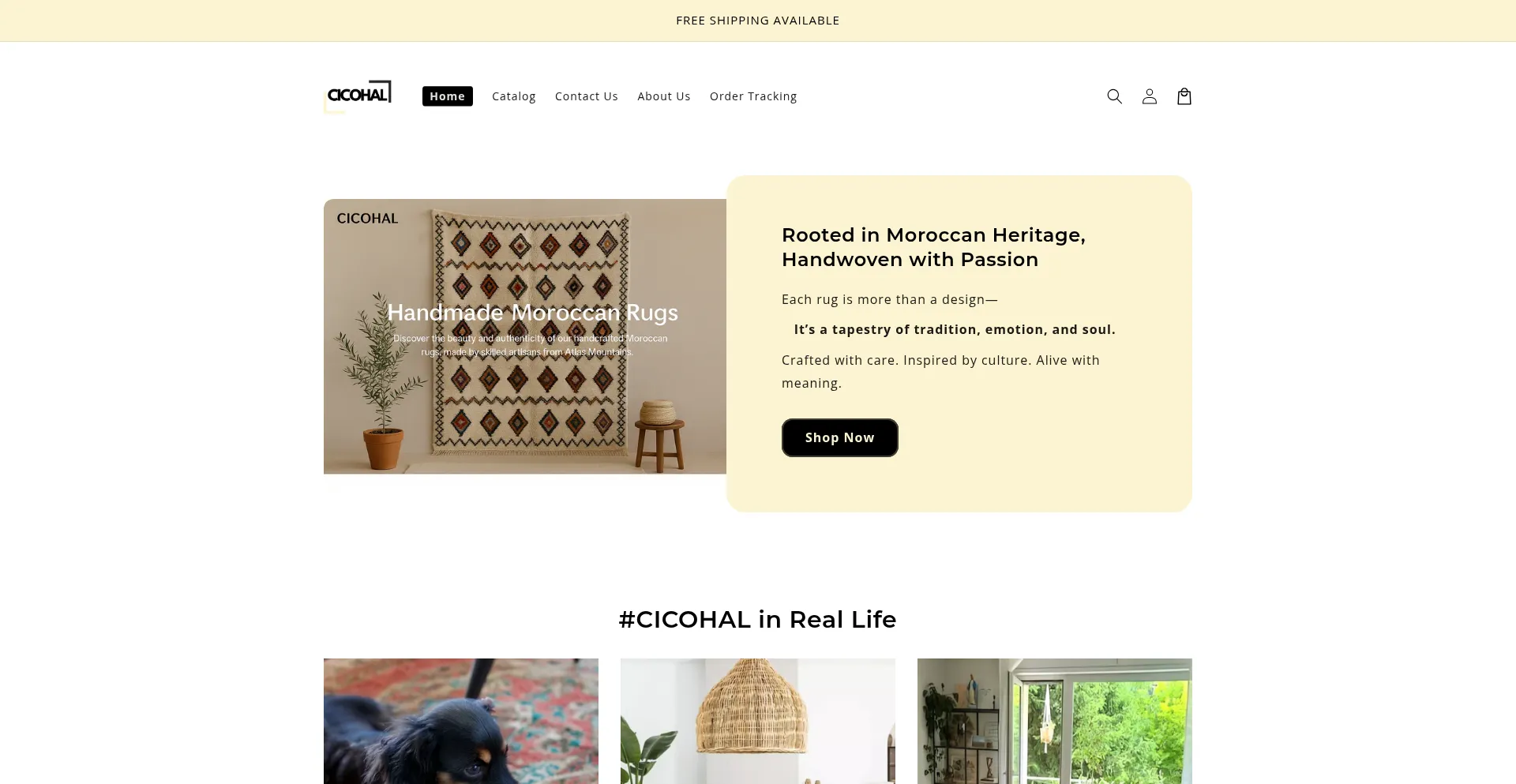 Website screenshot of Cicohal.com