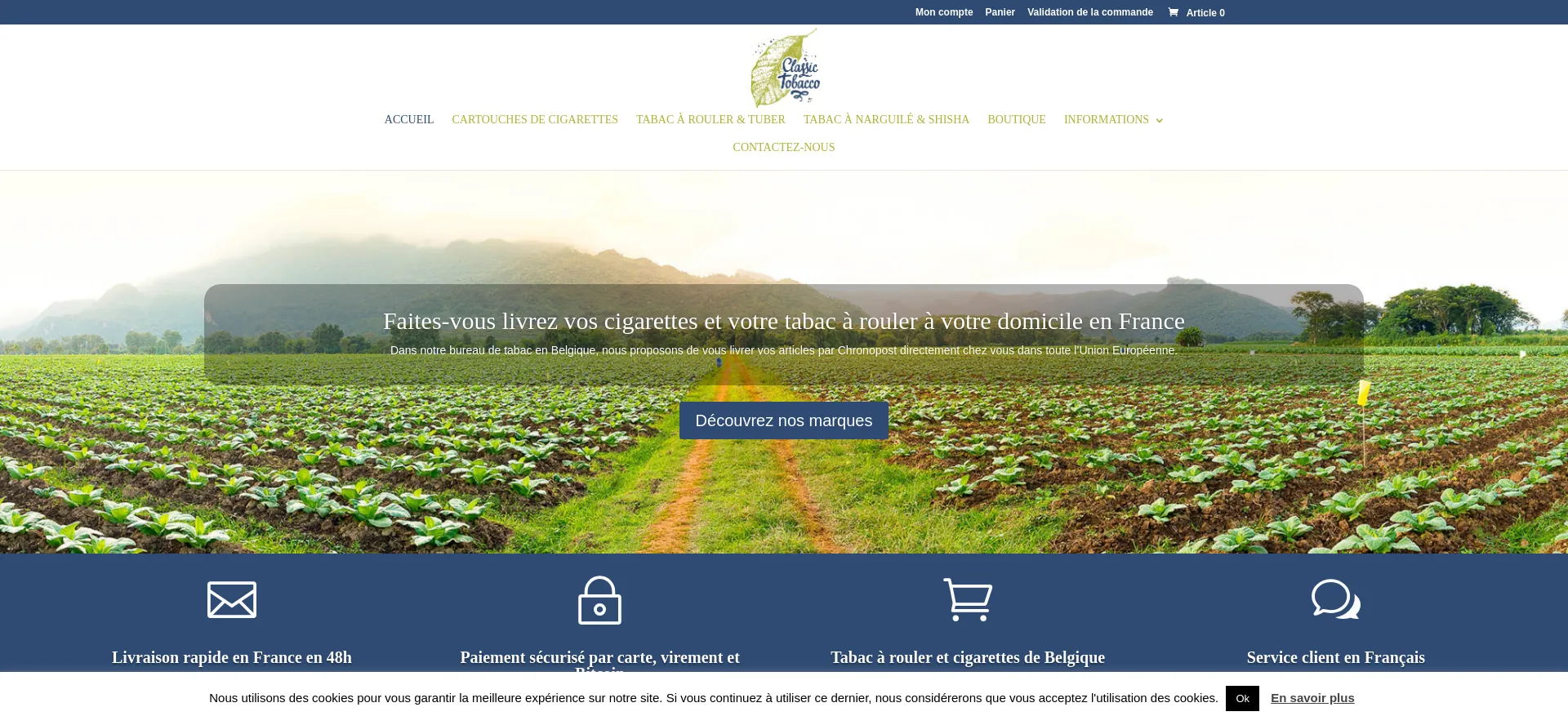 Website screenshot of Cigarettes-pas-cher.com