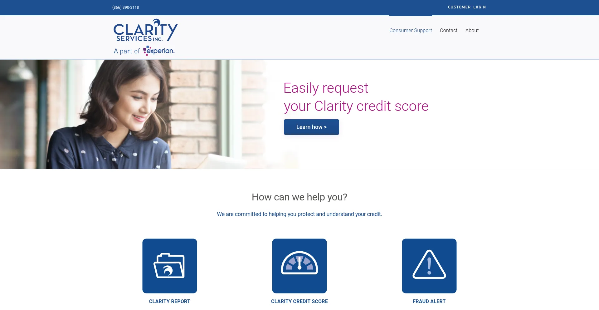 Website screenshot of Clarityservices.com