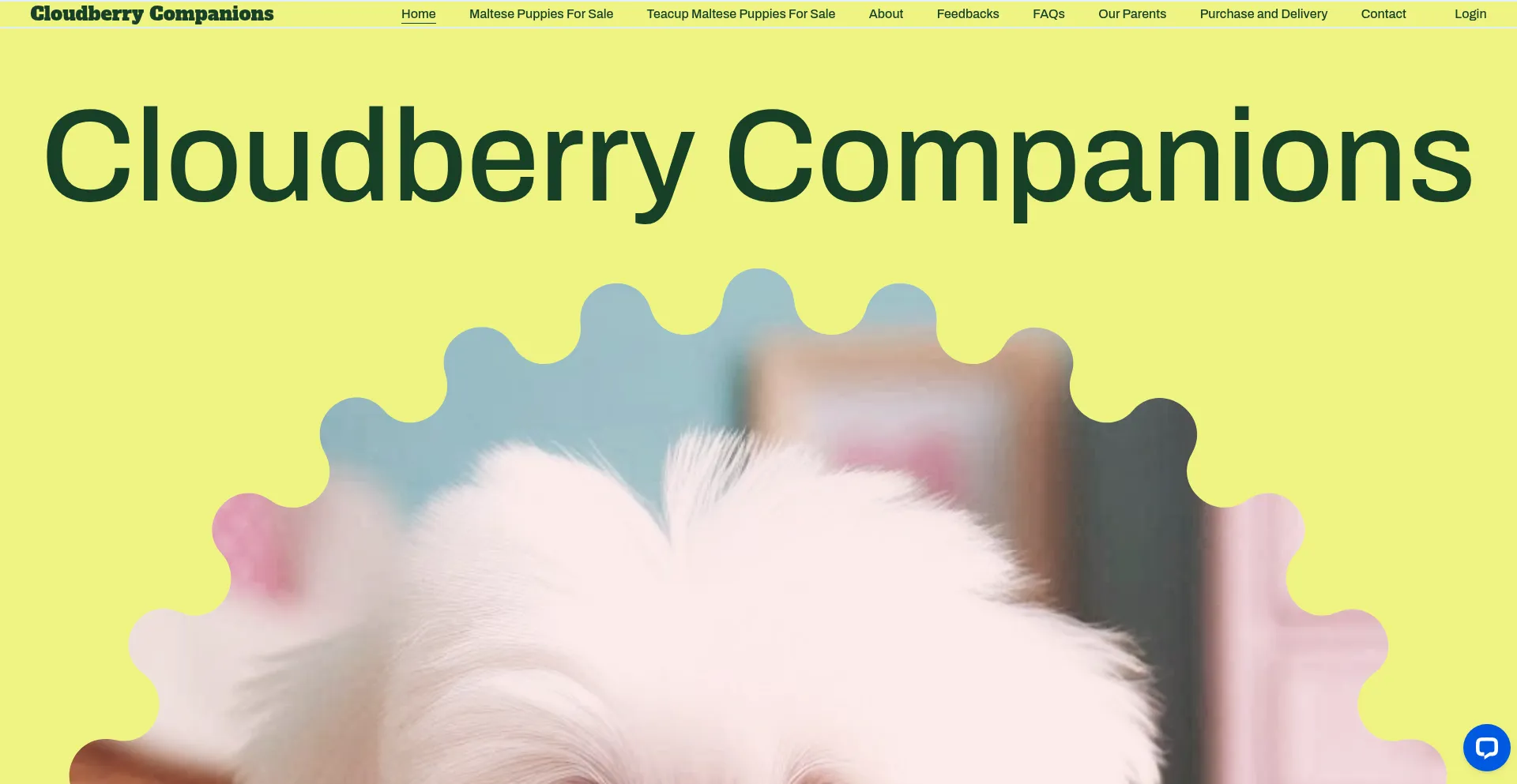 Website screenshot of Cloudberrycompanions.com
