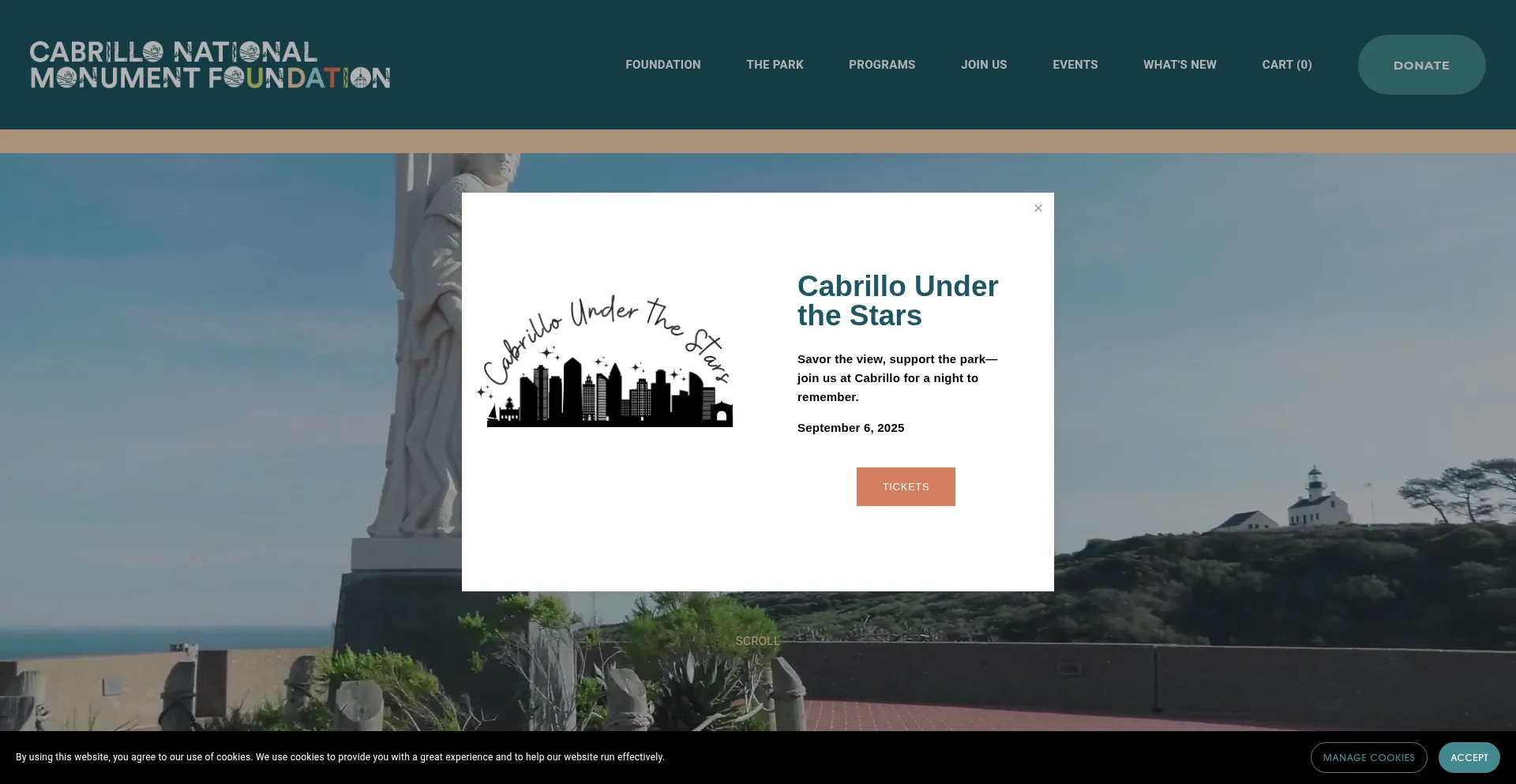 Website screenshot of Cnmf.org